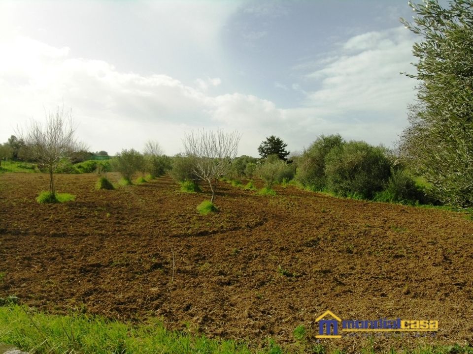 Helårsgrund i Pachino, Siracusa - foto 2