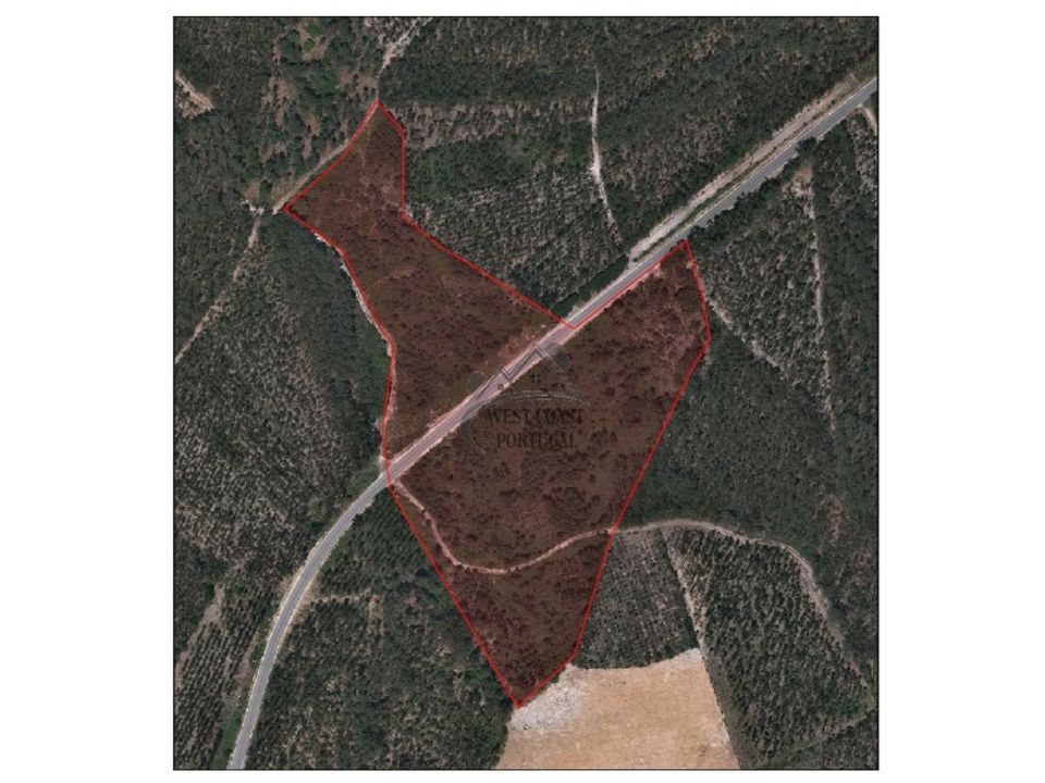 Helårsgrund i Santo Onofre e Serra do Bouro, Leiria - foto 3