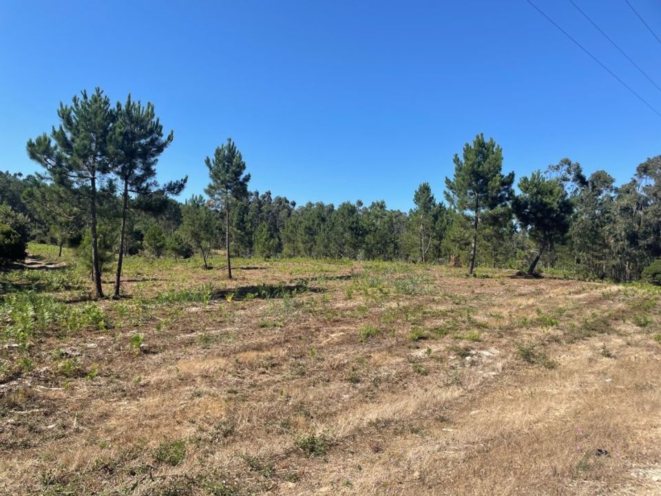 Helårsgrund i Santo Onofre e Serra do Bouro, Leiria - foto 1