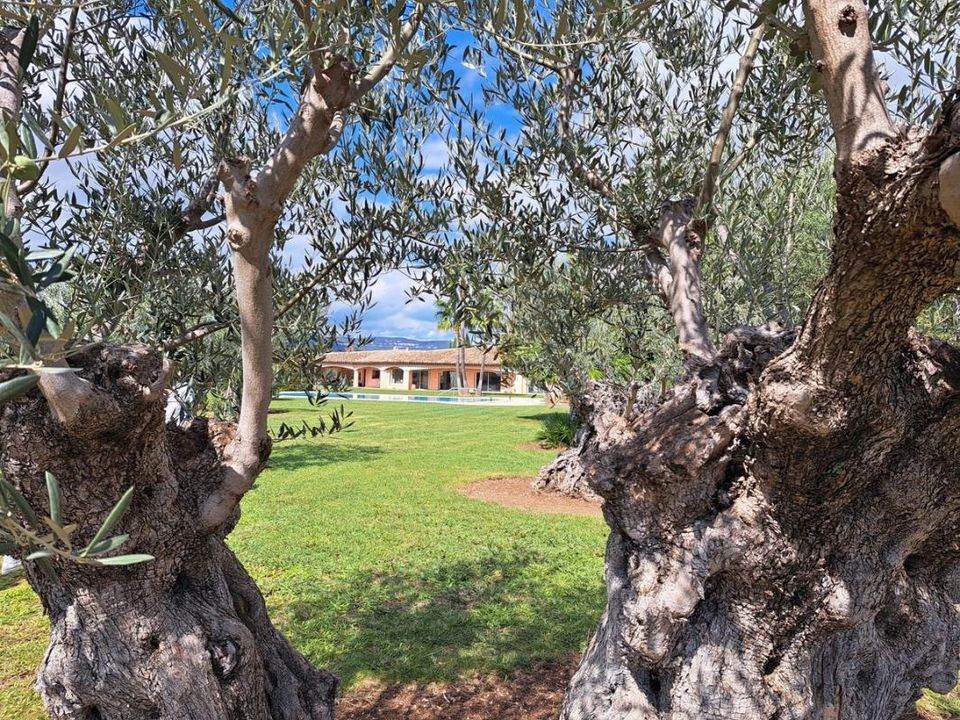 Villa i Carqueiranne, Var - foto 5
