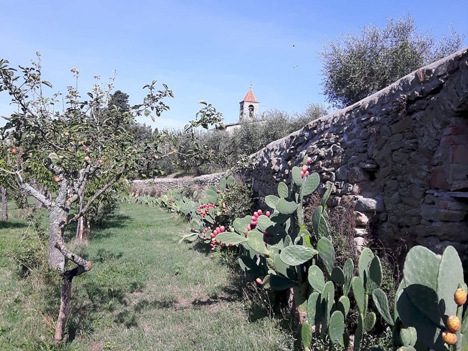 Villa i Cortona, Arezzo - foto 2