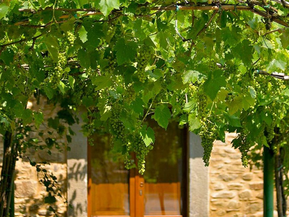 Villa i Cortona, Arezzo - foto 3