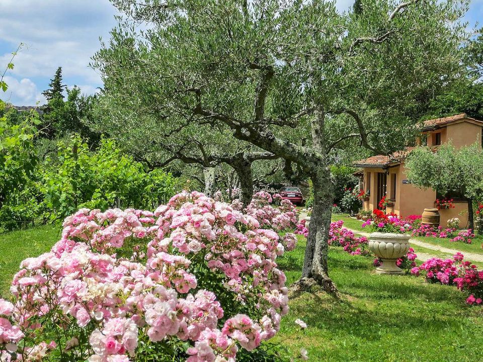 Villa i Cortona, Arezzo - foto 5