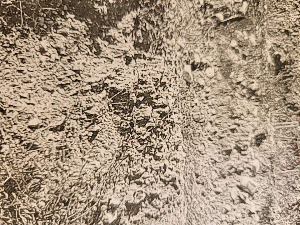 Helårsgrund i Ourem, Santarem - foto 5