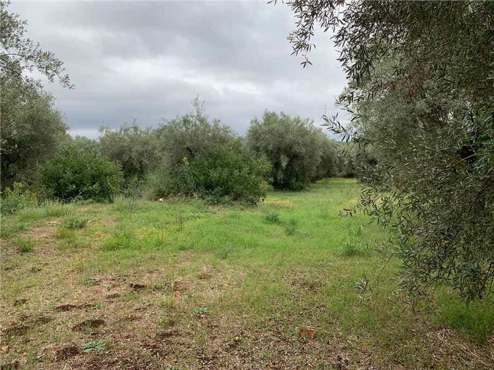 Helårsgrund i Noto, Siracusa - foto 2