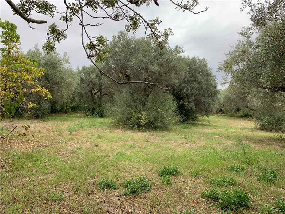 Helårsgrund i Noto, Siracusa - foto 3