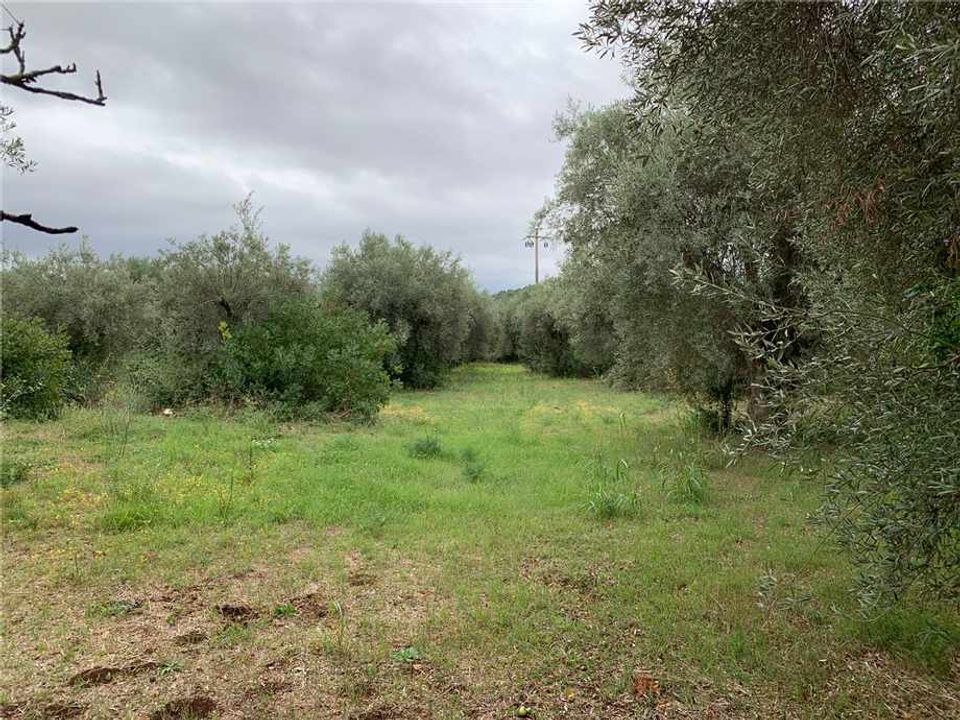 Helårsgrund i Noto, Siracusa - foto 4