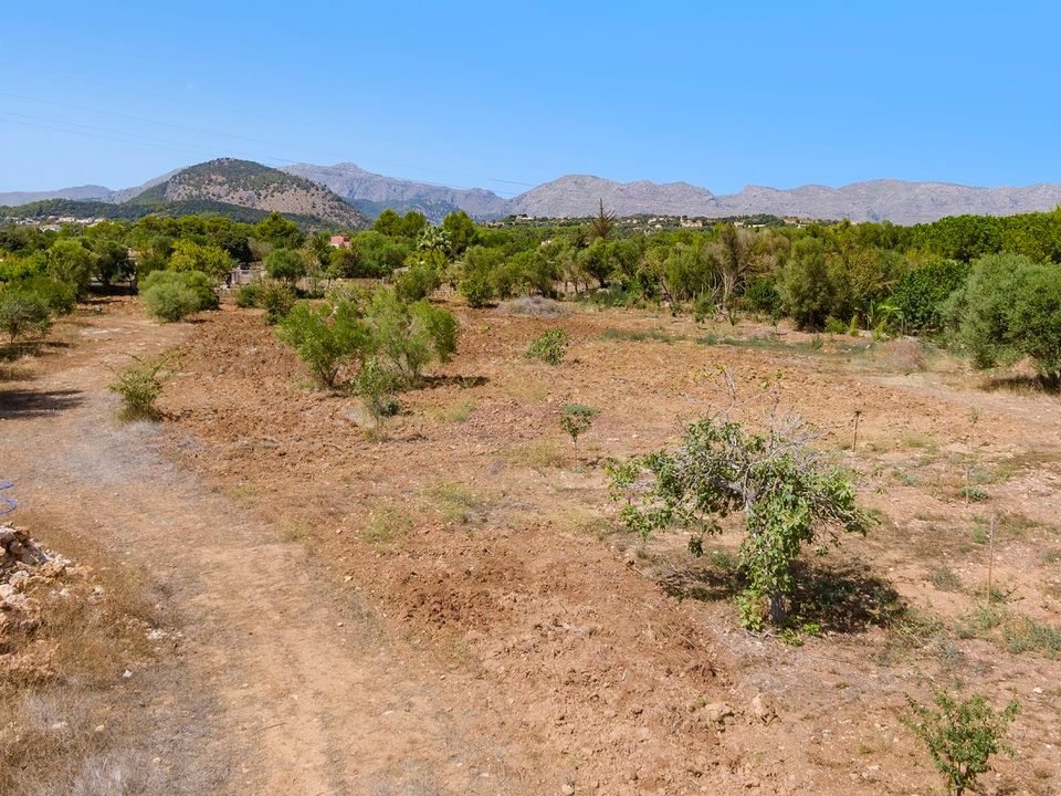 Helårsgrund i Pollenca, Mallorca - foto 2