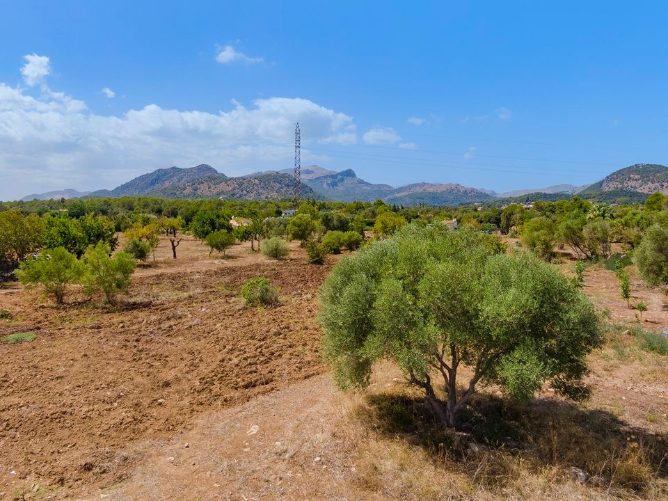 Helårsgrund i Pollenca, Mallorca - foto 4