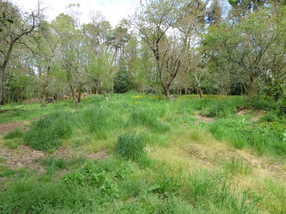 Helårsgrund i Loyat, Morbihan - foto 1