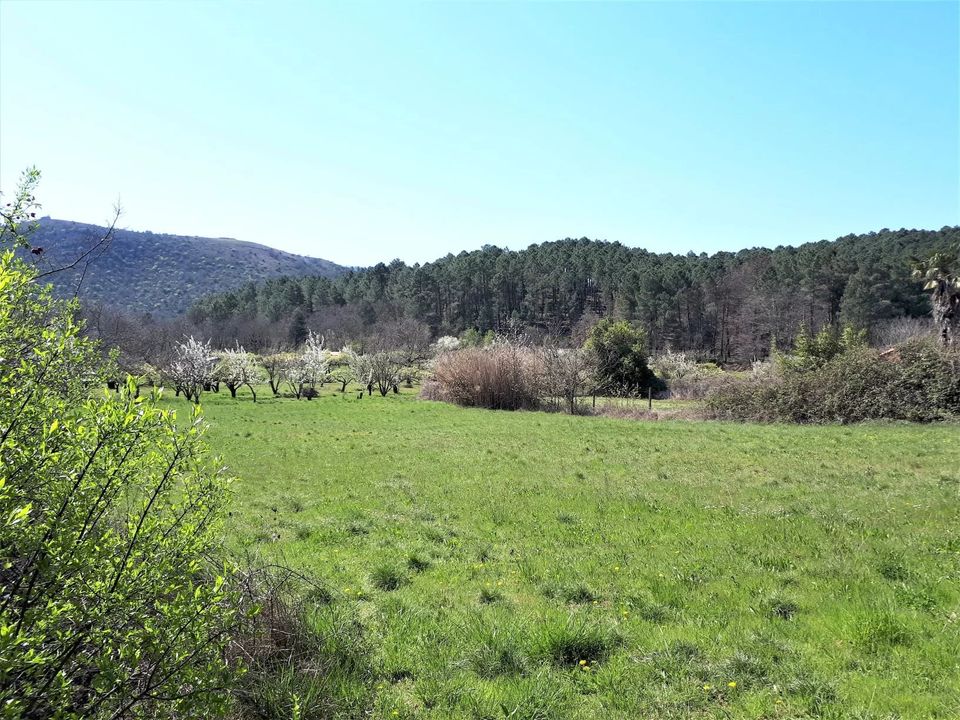 Tomt i Saint-Paul-le-Jeune, Ardeche - bilde 2