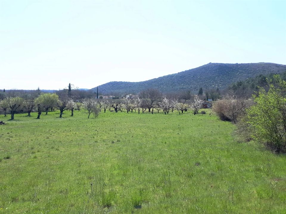 Tomt i Saint-Paul-le-Jeune, Ardeche - bilde 3