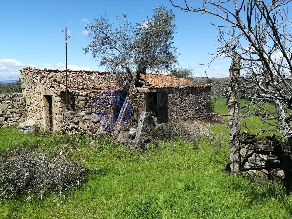 Byhus i Idanha-a-Nova, Castelo Branco - foto 5