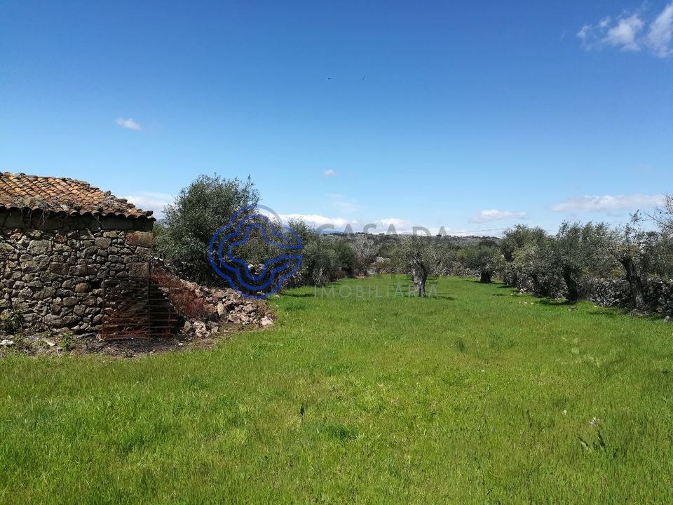 Byhus i Idanha-a-Nova, Castelo Branco - foto 2