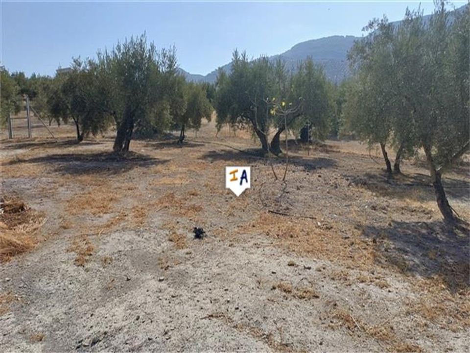 Cortijo i El Sabariego, Jaen - foto 4