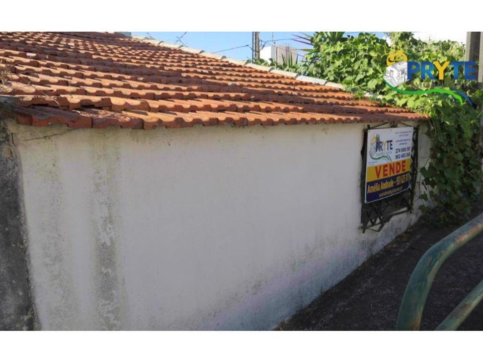 Farm i Serta, Castelo Branco - foto 4