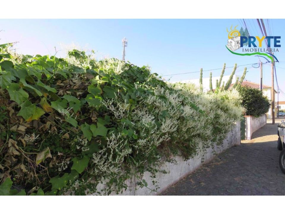 Farm i Serta, Castelo Branco - foto 5