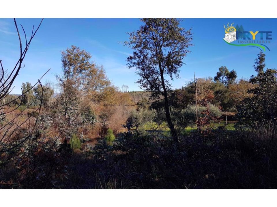 Farm i Serta, Castelo Branco - foto 2