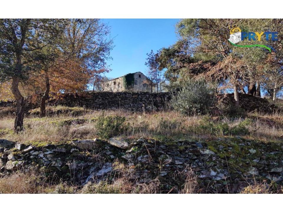 Farm i Serta, Castelo Branco - foto 4