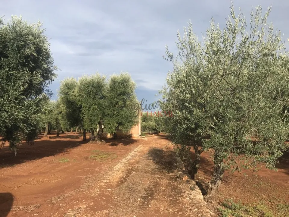 Landejendom i Ceglie Messapica, Brindisi - foto 2