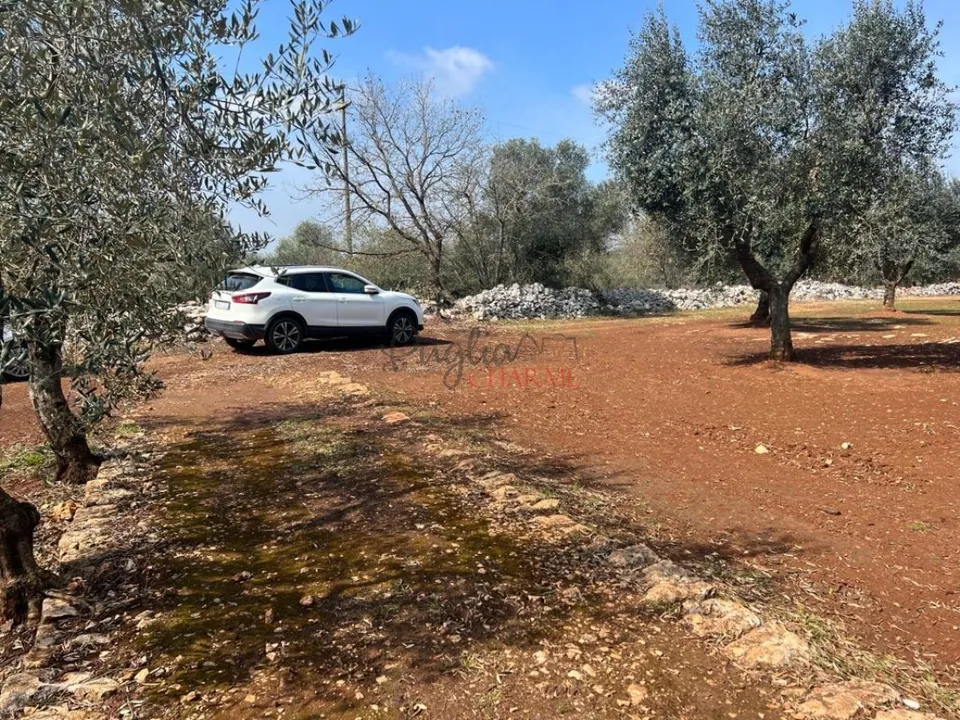 Landejendom i Ceglie Messapica, Brindisi - foto 3