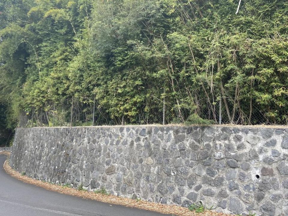 Helårsgrund i Saint-Denis, La Reunion - foto 2