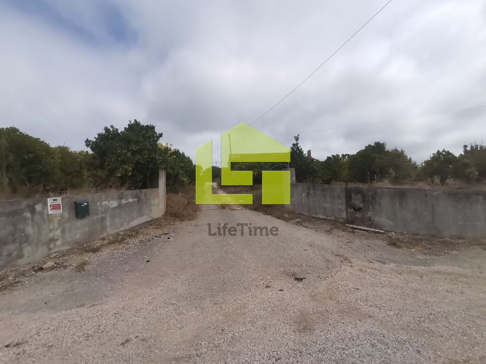 Farm i Soure, Coimbra - foto 2