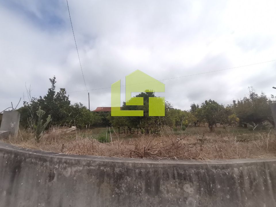 Farm i Soure, Coimbra - foto 3