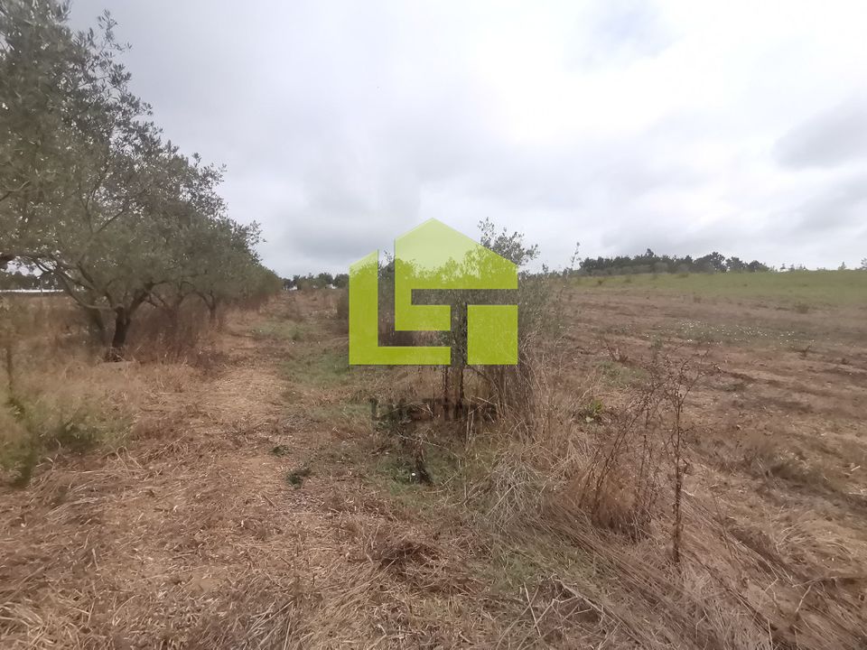 Farm i Soure, Coimbra - foto 4