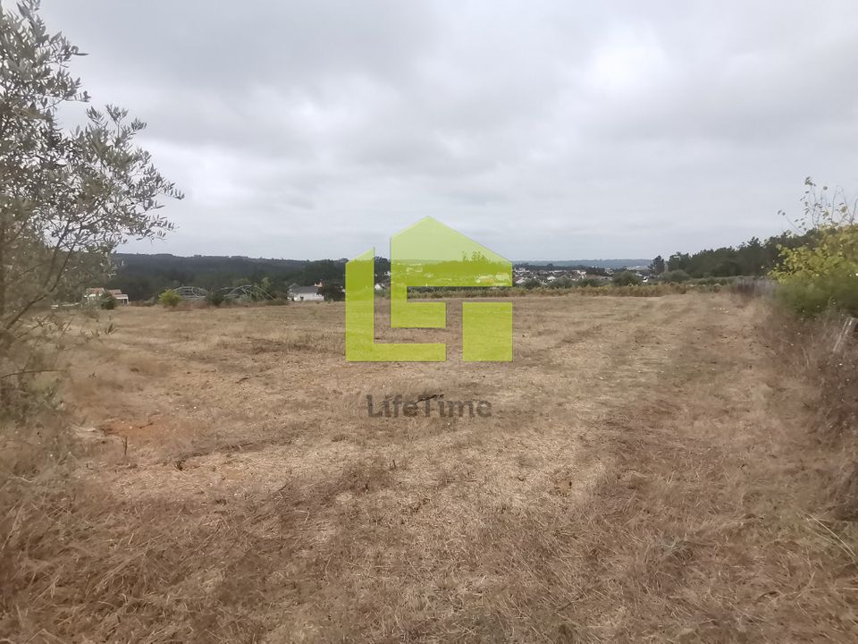 Farm i Soure, Coimbra - foto 5