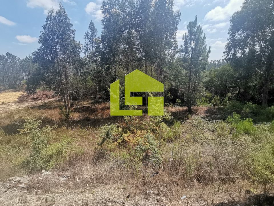 Helårsgrund i Pombal, Leiria - foto 2