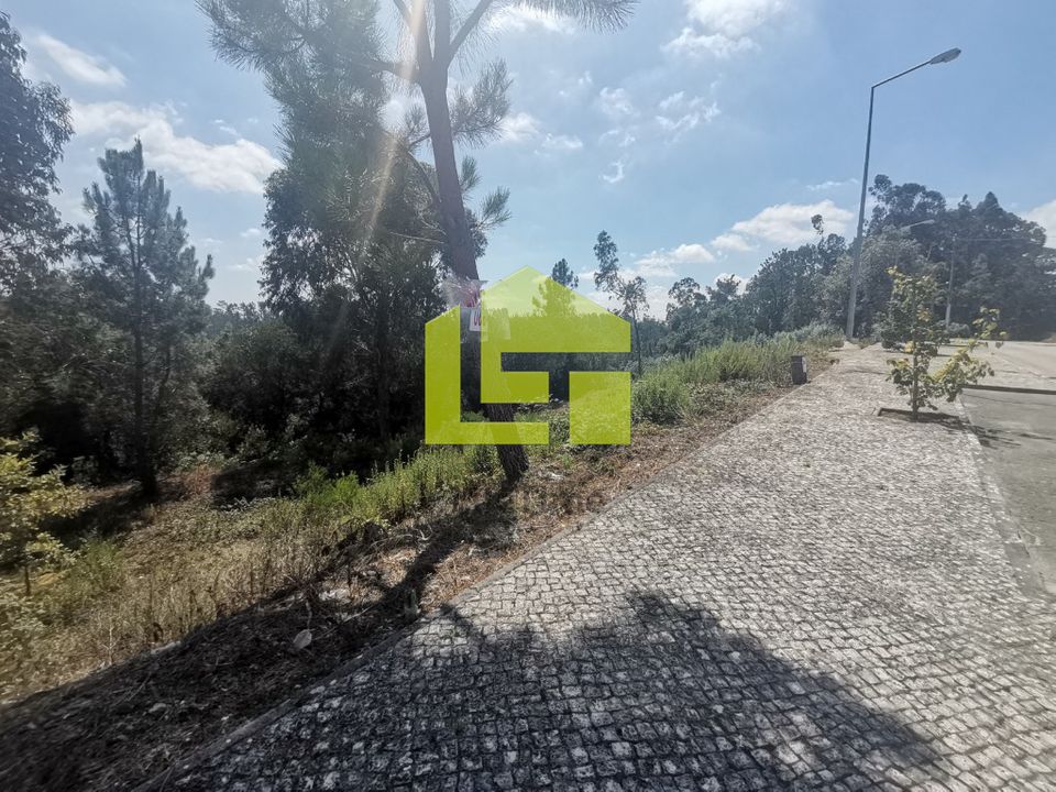 Helårsgrund i Pombal, Leiria - foto 5