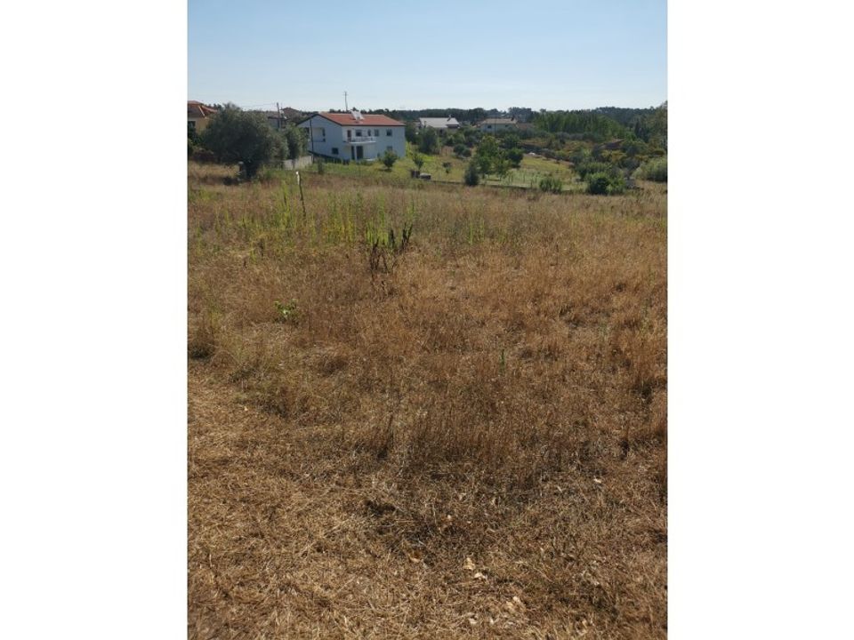 Helårsgrund i Bidoeira de Cima, Leiria - foto 1