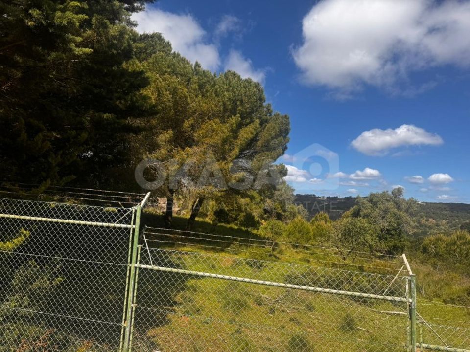 Helårsgrund i Palmela, Setubal - foto 1