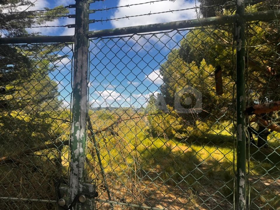 Helårsgrund i Palmela, Setubal - foto 2