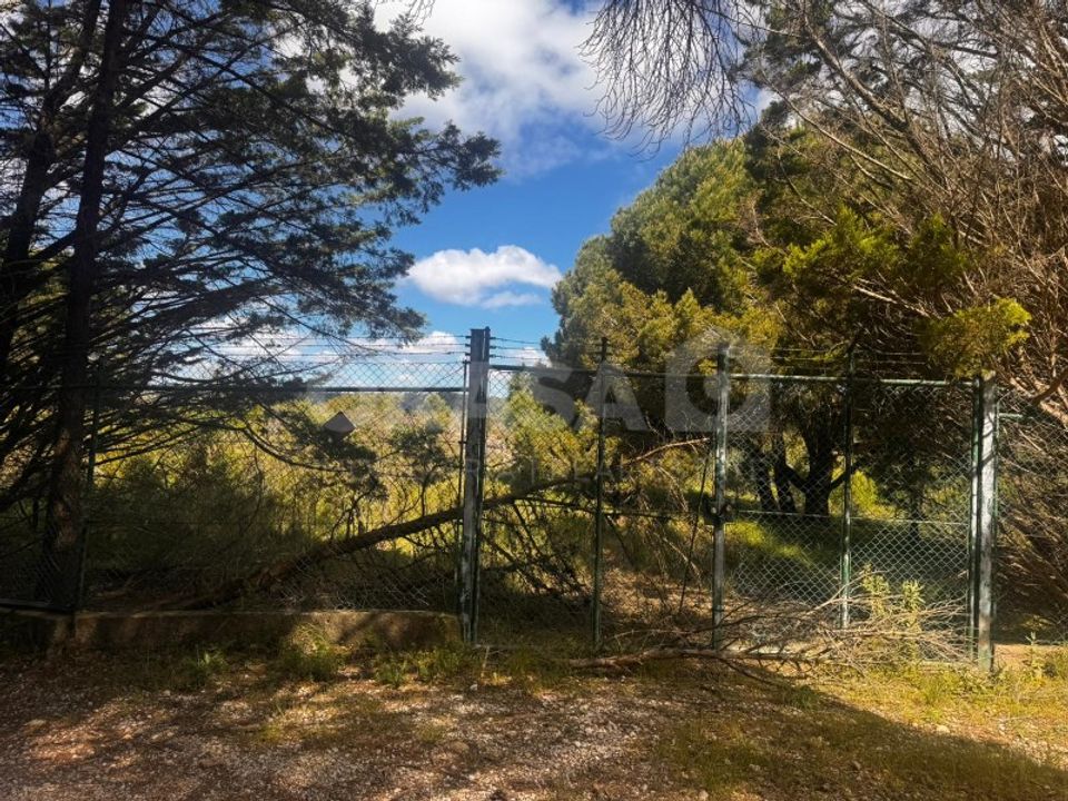Helårsgrund i Palmela, Setubal - foto 3