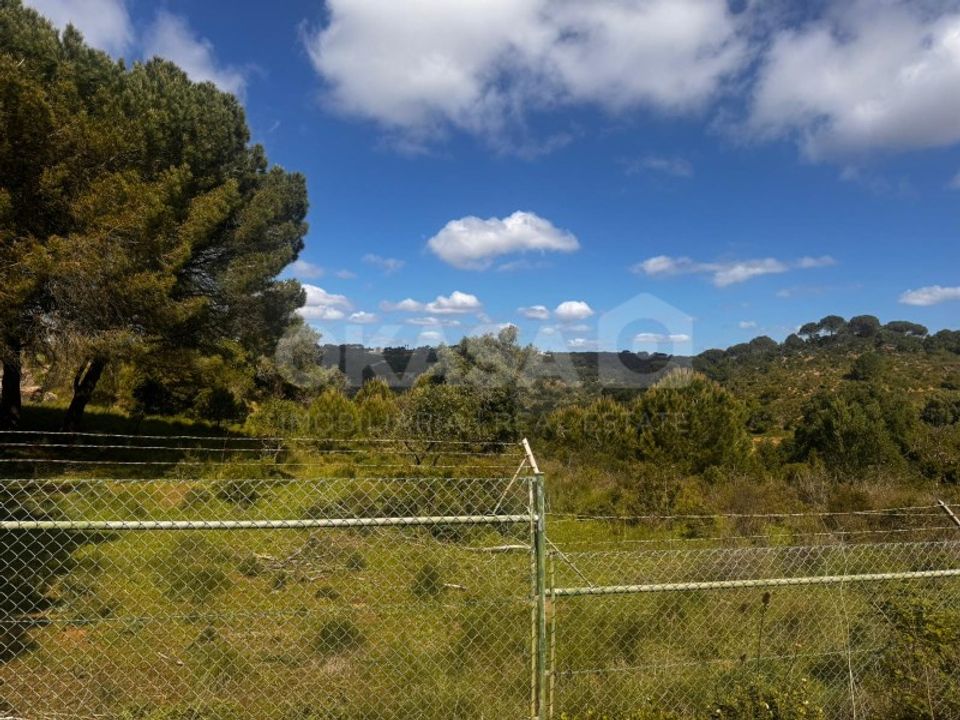 Helårsgrund i Palmela, Setubal - foto 4