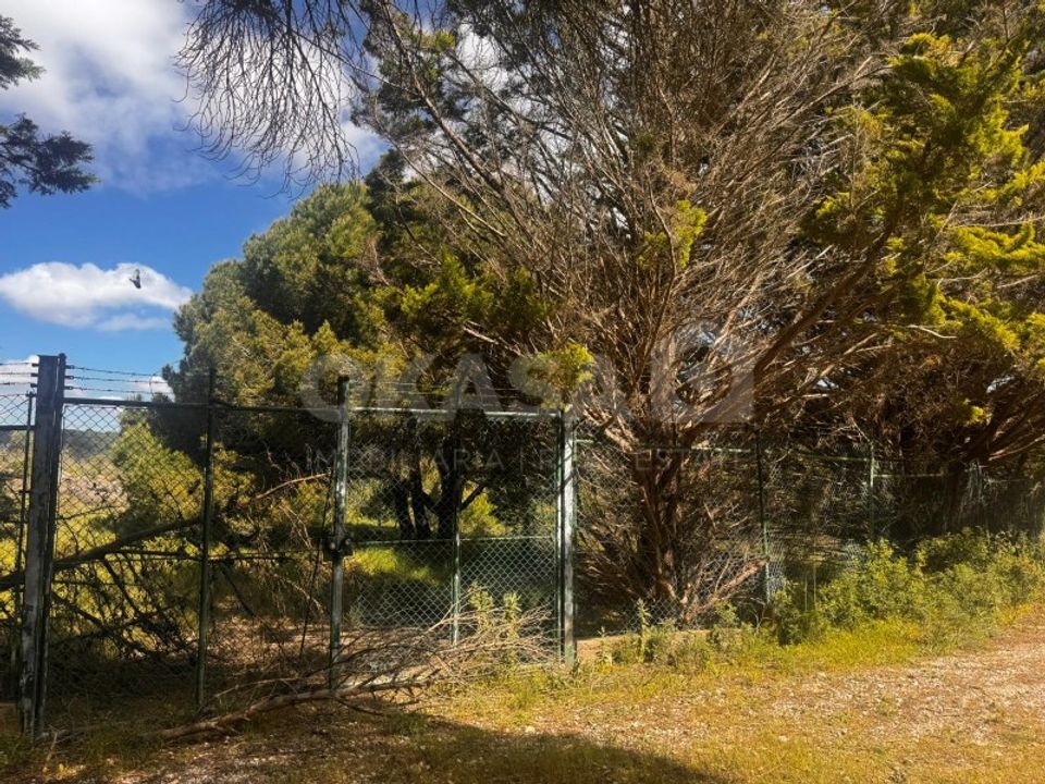 Helårsgrund i Palmela, Setubal - foto 5