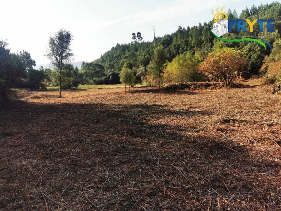 Granja a Serta, Castelo Branco - foto 2