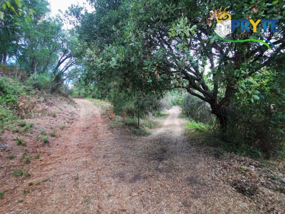 Granja a Serta, Castelo Branco - foto 3