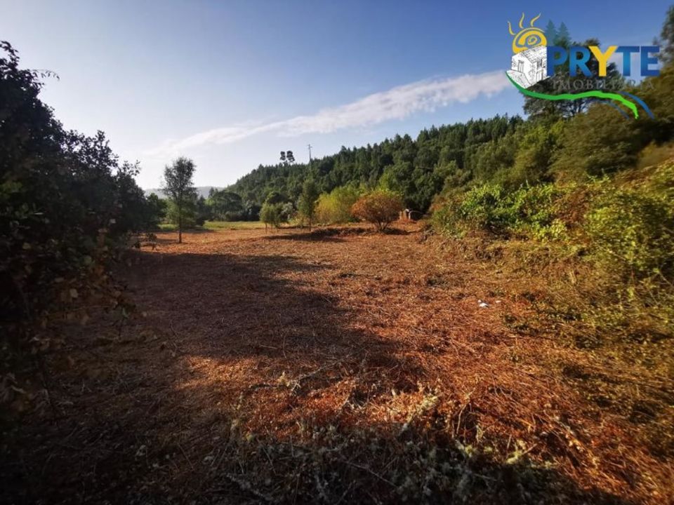 Granja a Serta, Castelo Branco - foto 4