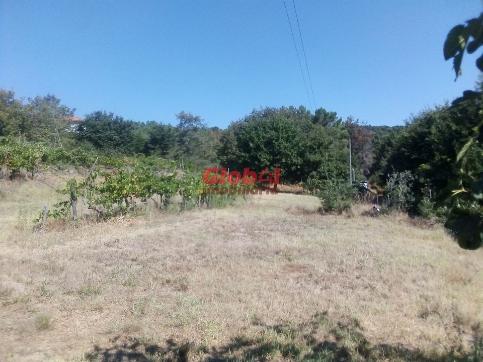 Farm i Viseu, Viseu - foto 4