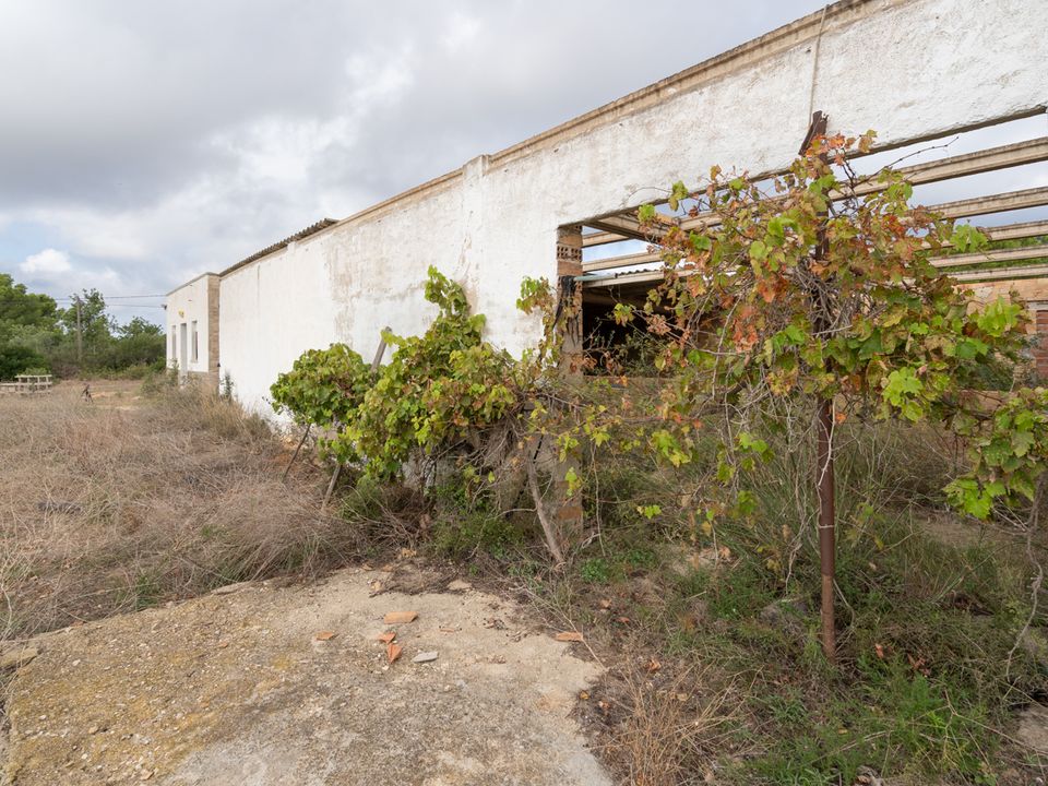 Finca i L'Ampolla, Tarragona - foto 3