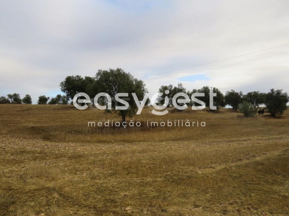 Helårsgrund i Aljustrel, Beja - foto 1