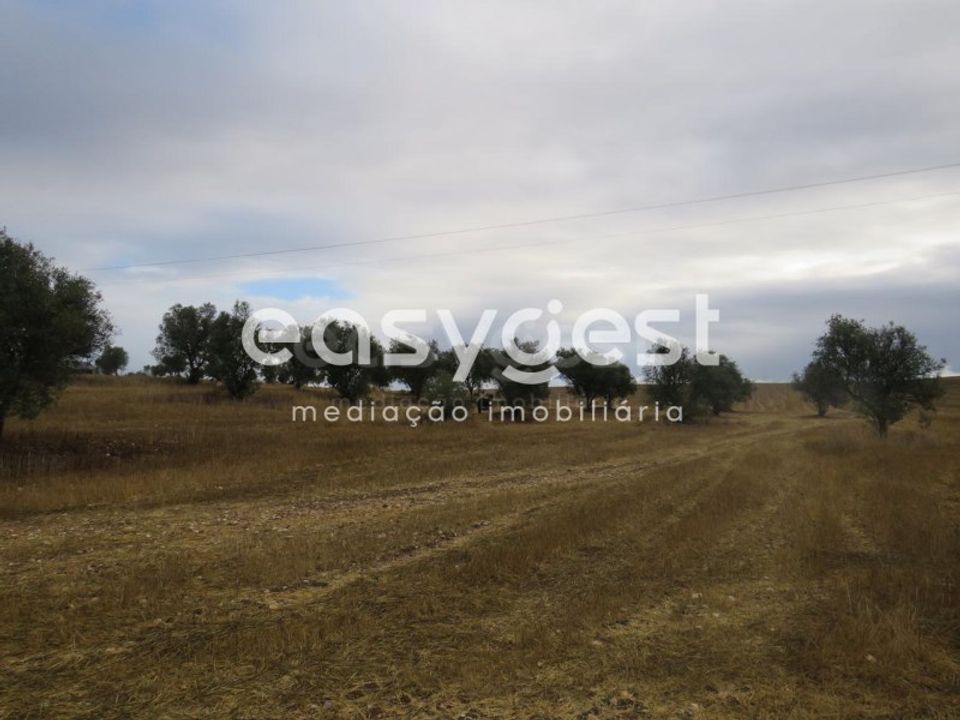 Helårsgrund i Aljustrel, Beja - foto 2