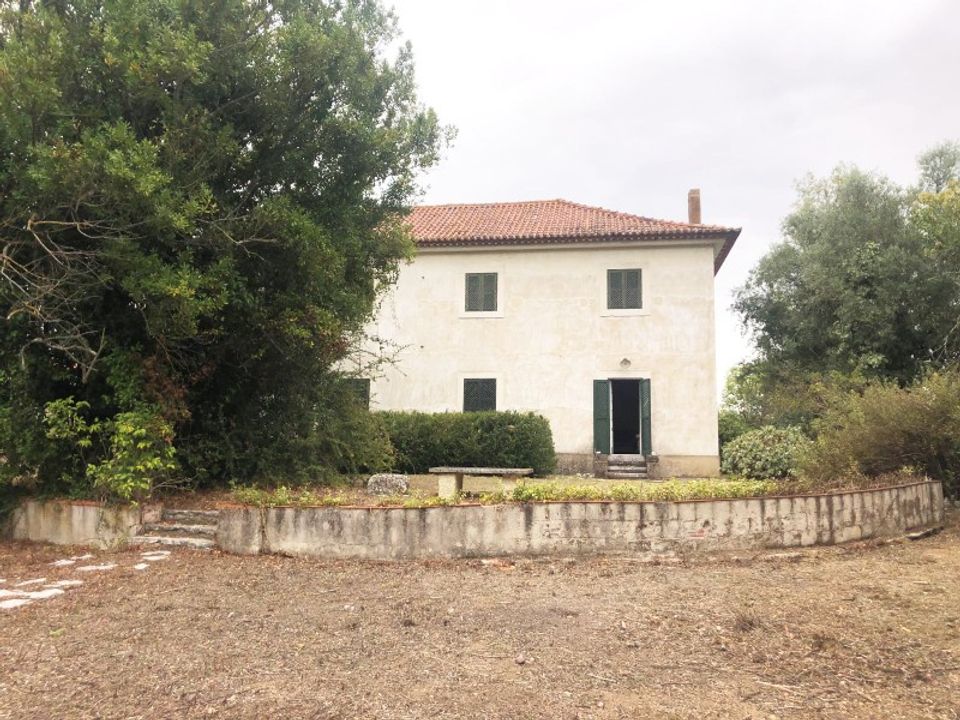 Villa i Torres Novas, Santarem - foto 4