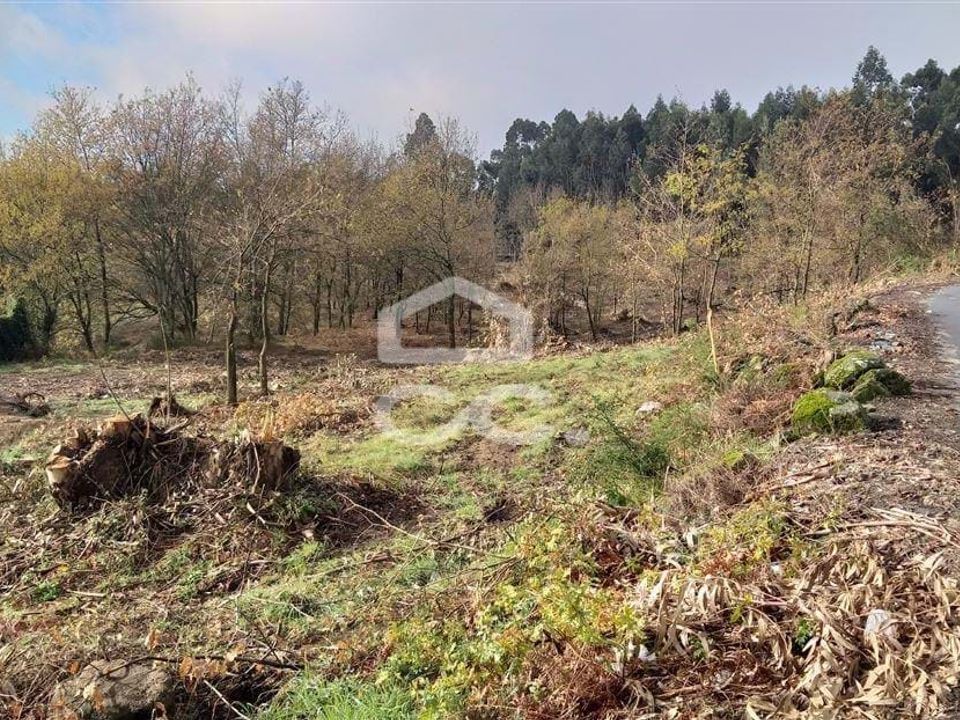 Helårsgrund i Oliveira, Braga - foto 4