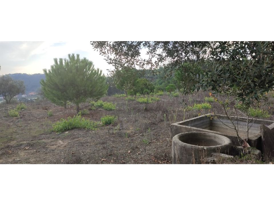 Helårsgrund i Gondemaria e Olival, Santarem - foto 5
