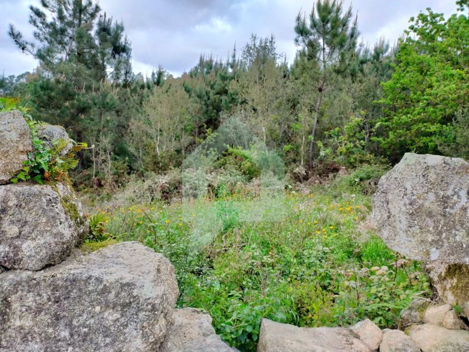 Helårsgrund i Barcelos, Braga - foto 3