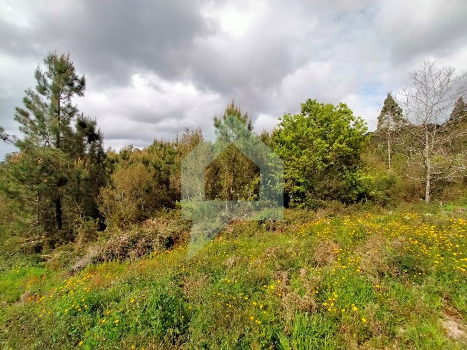 Helårsgrund i Barcelos, Braga - foto 5
